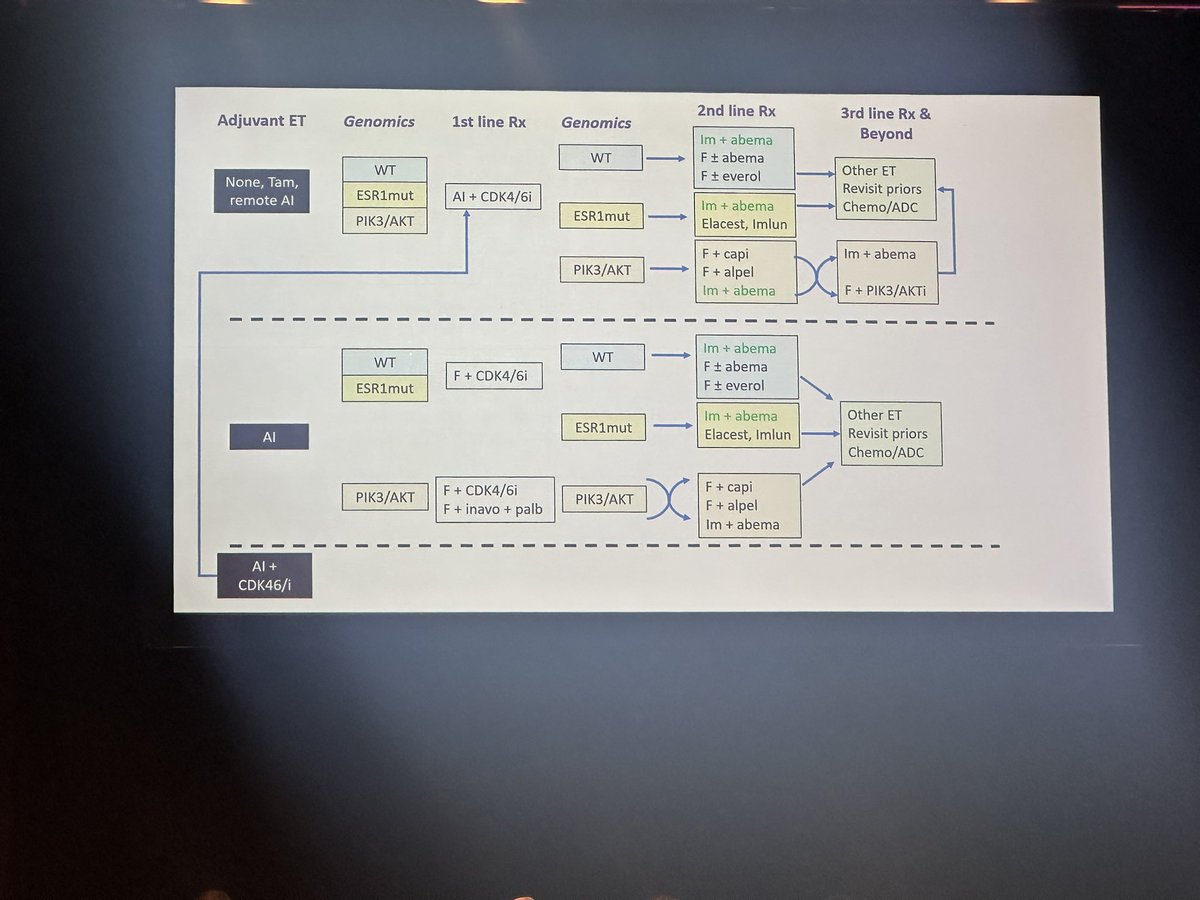 MBC HR POs treatment algorithm
<a href="/SABCSSanAntonio/">SABCS</a> #SABCS24