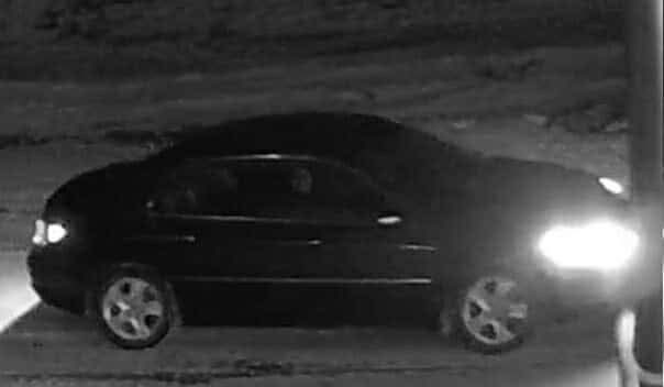 BrainMechanic tweet media