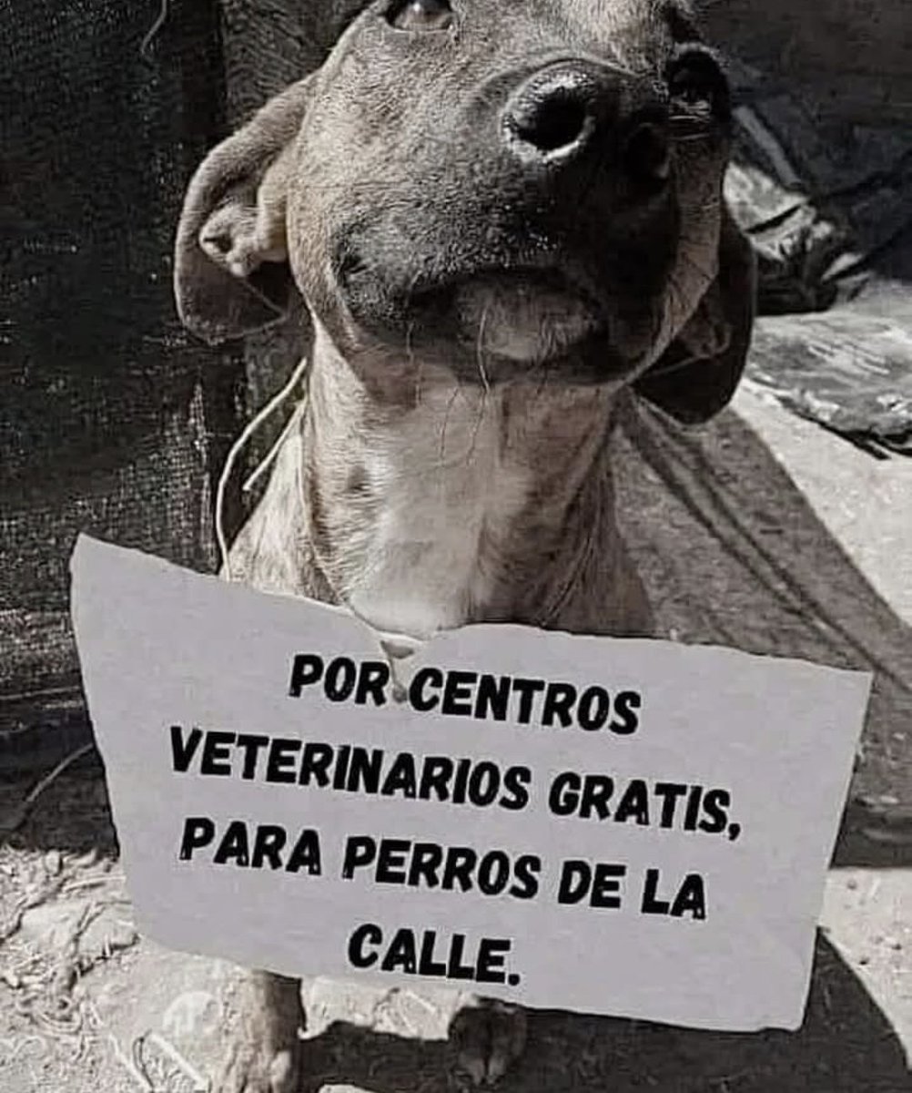 No gratis pero si más económico...  que se haga ley <a href="/chavezcandanga/">Hugo Chávez Frías</a>  <a href="/NicolasMaduro/">Nicolás Maduro</a>
