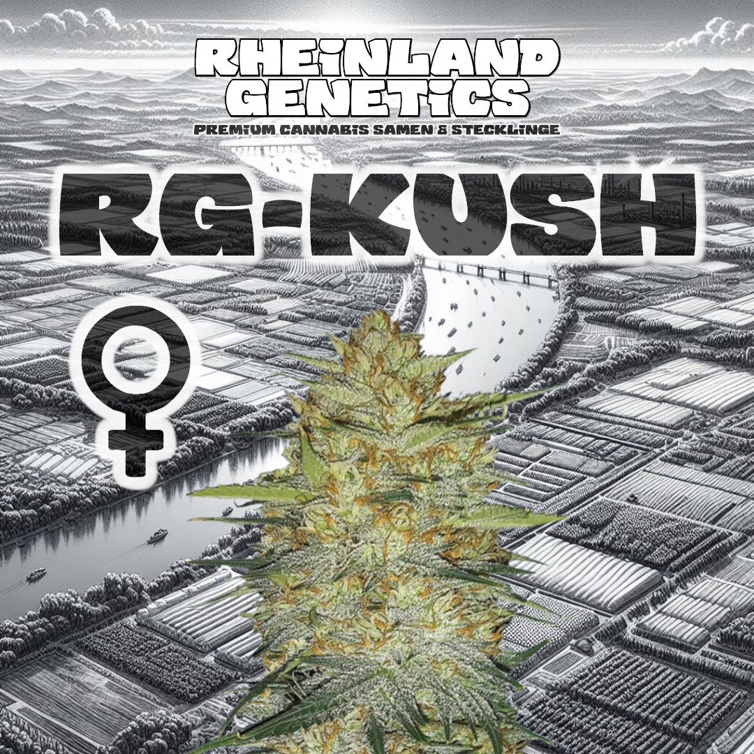 Rheinland Genetics tweet media