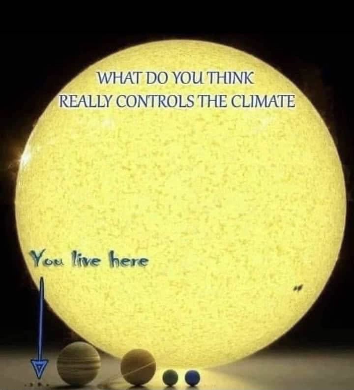 Bradley Morgan tweet media