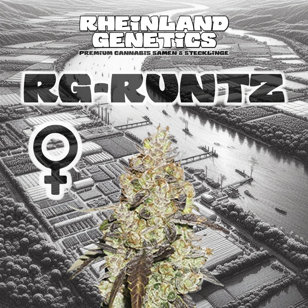 Rheinland Genetics tweet media