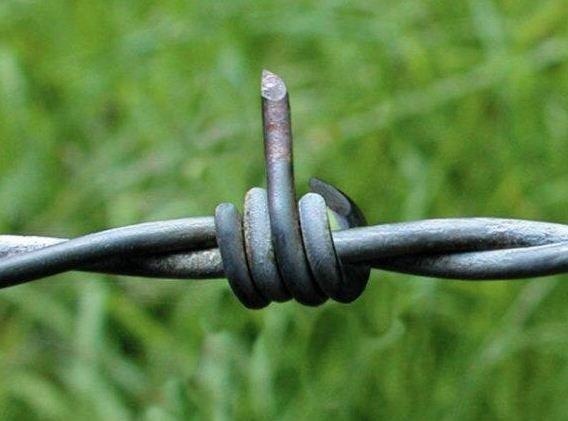 thckero's tweet image. FUCK the System

#babylonsystem   　

youtu.be/XSnI874fUds?si…