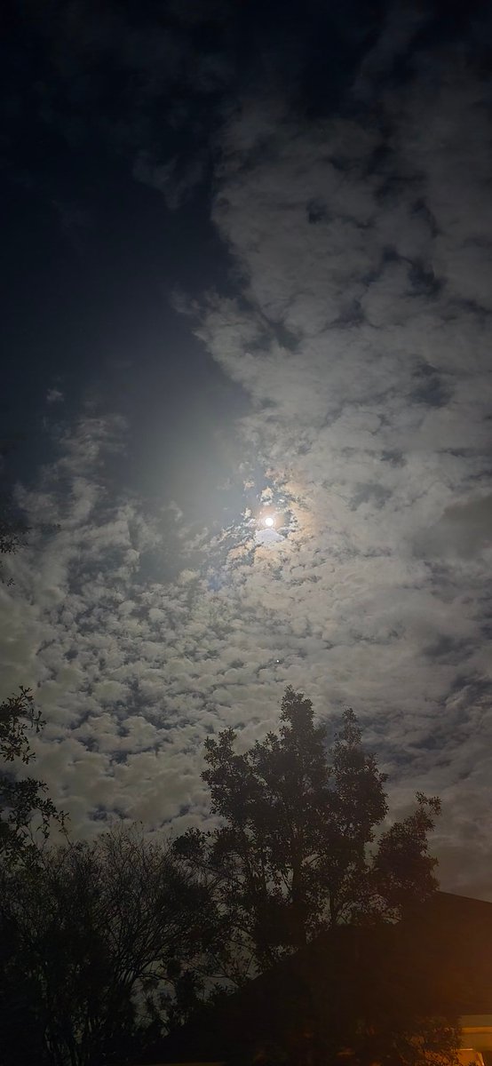 pevxi_'s tweet photo. Good ass moon tonight https://t.co/AlgCkGWH8n