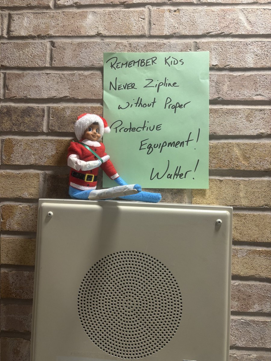 Poor Walter! Safety gear is necessary for zip lining!