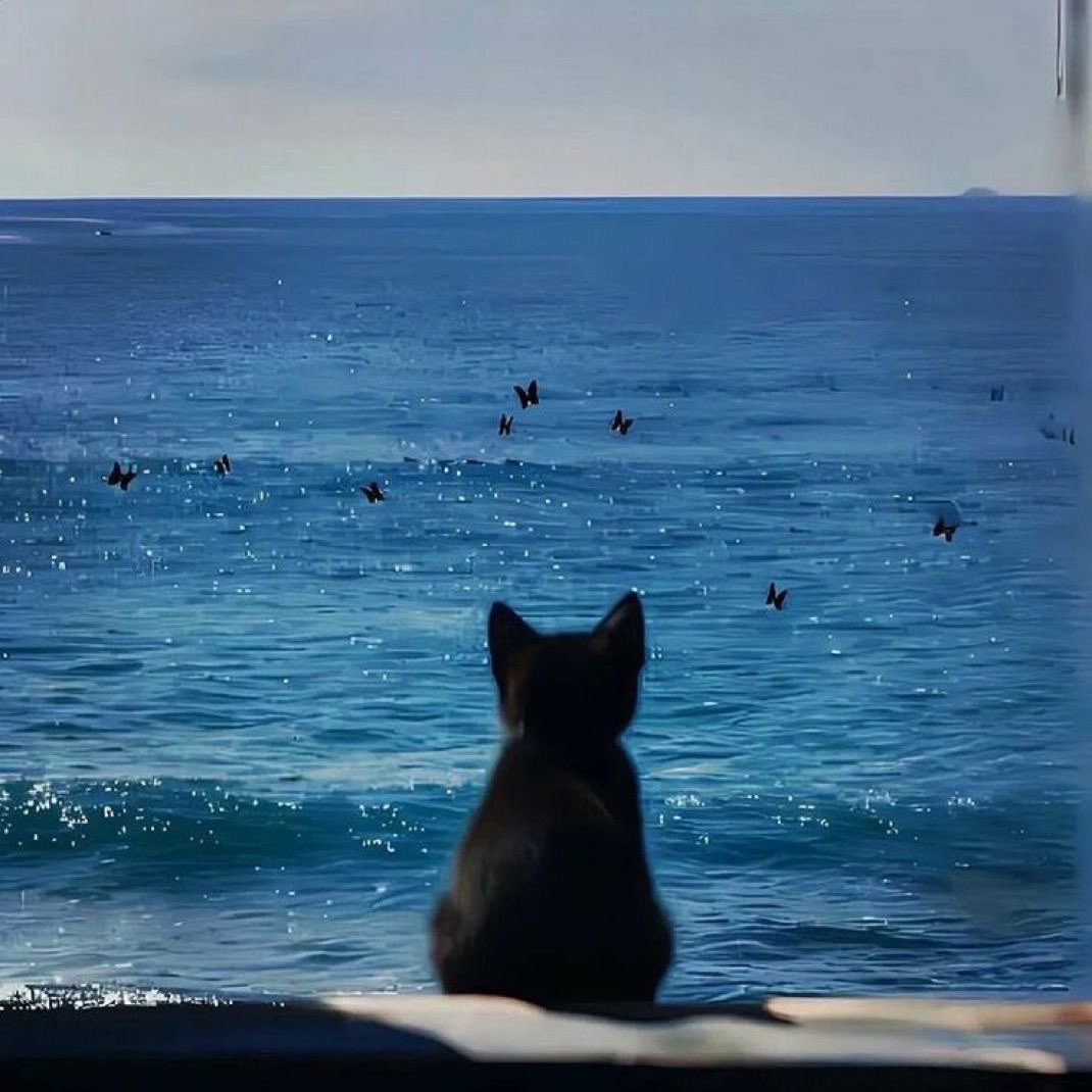 Black cats are not bad luck (@visualscat) on Twitter photo 