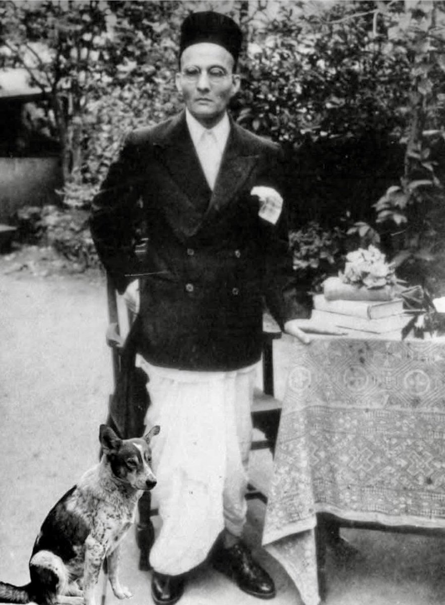 mrjethwani_'s tweet photo. Can someone tell what breed of dog is this👇🏼👇🏼 https://t.co/AgKxZy7tDe