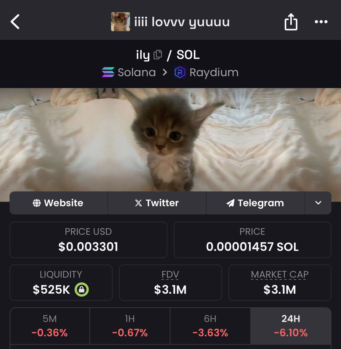 kazuyam3k's tweet image. the most mispriced coin on the internet 

$ily