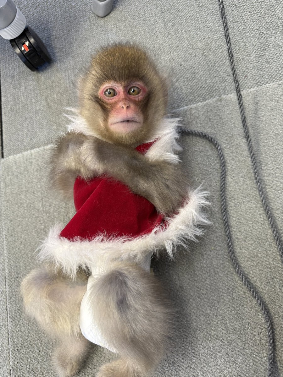 今日は東京の児童館でのイベント✨

スタンバイオッケー🥰

#モンキーエンターテイメント
#モンタメ　#モン民
#可愛い　#かある