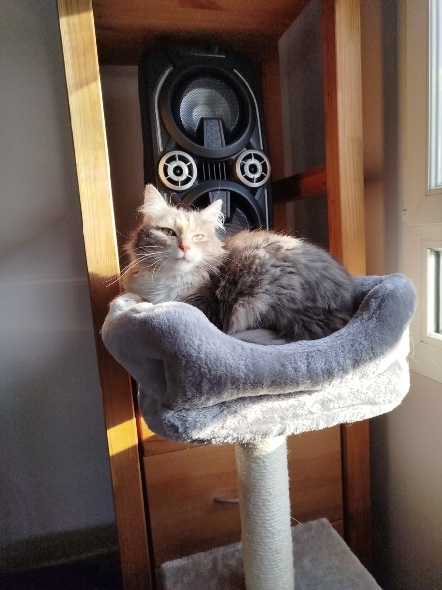 WinryRockbellu's tweet image. La star prend son bain de soleil