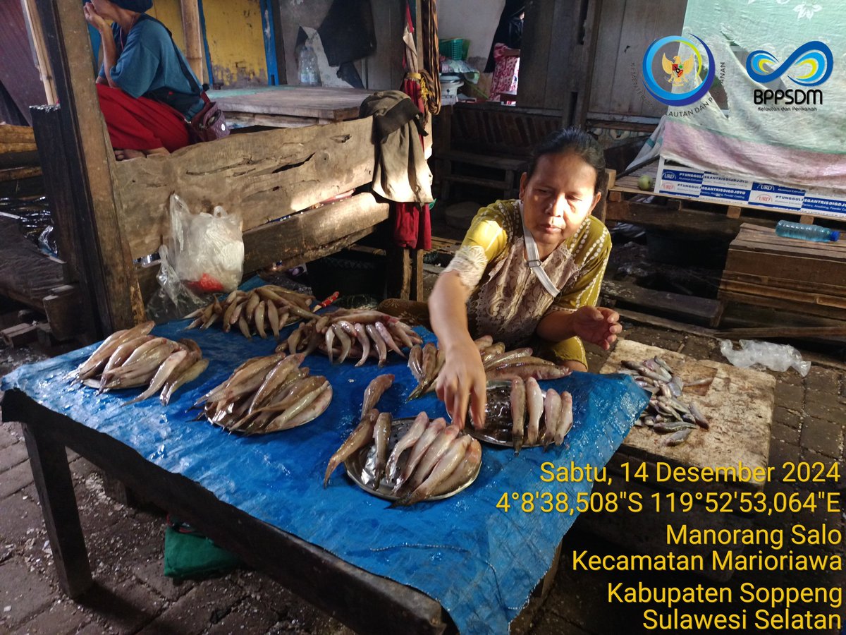 Reny__Razak's tweet photo. Sabtu (14/12/2024), Muhraeni, S.Pi, Luhkan Kab. Soppeng, Poklahsar Ikan Gabus, Kel. Limpomajang, Kec. Marioriawa, produksi  Ikan Nila 15 kg harga 25.000/kg, ikan Tawes 10 kg hrga 20.000/kg, ikan Bungo 10 kg hrg 20.000/kg
#GiatLuhkanSatminkalMaros
#Soppeng
#Produksi
#LuhLapor https://t.co/OCzqF470ld
