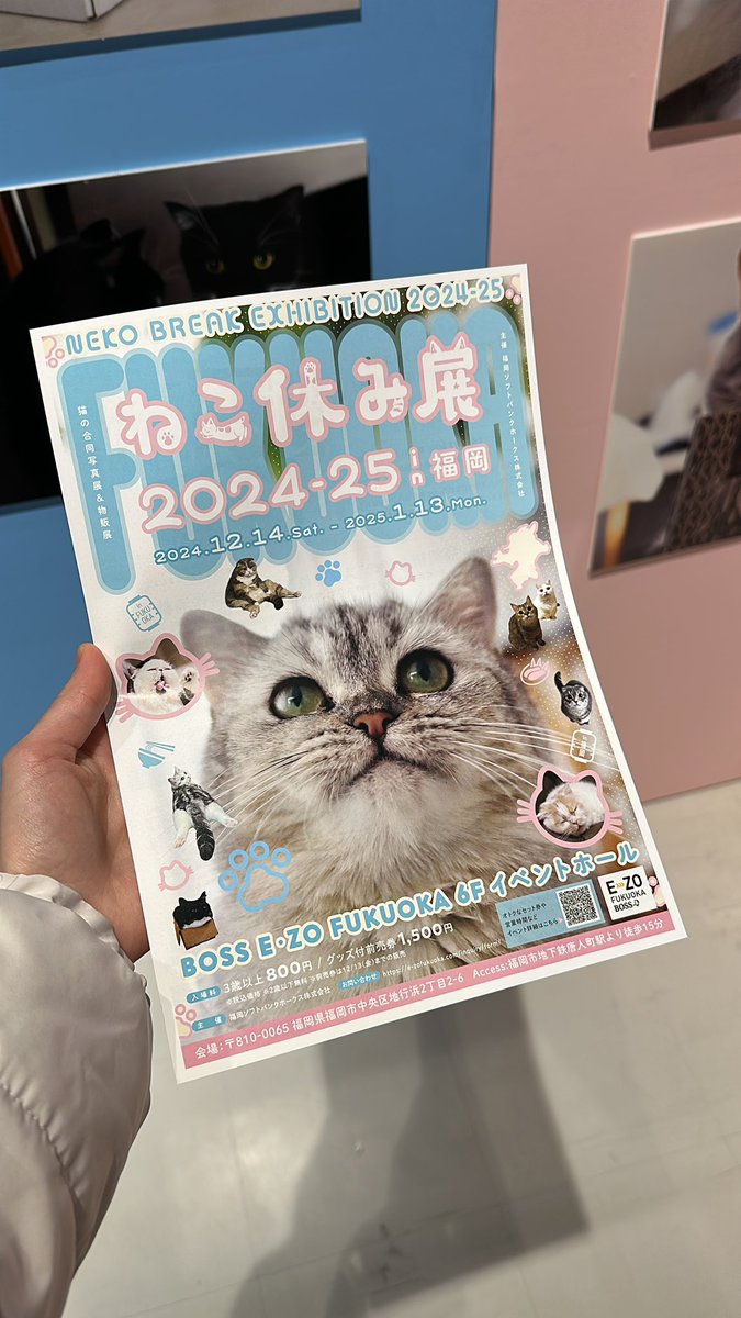 m_s_0216's tweet photo. ねこ休み展🐈 https://t.co/8paAaHs84U