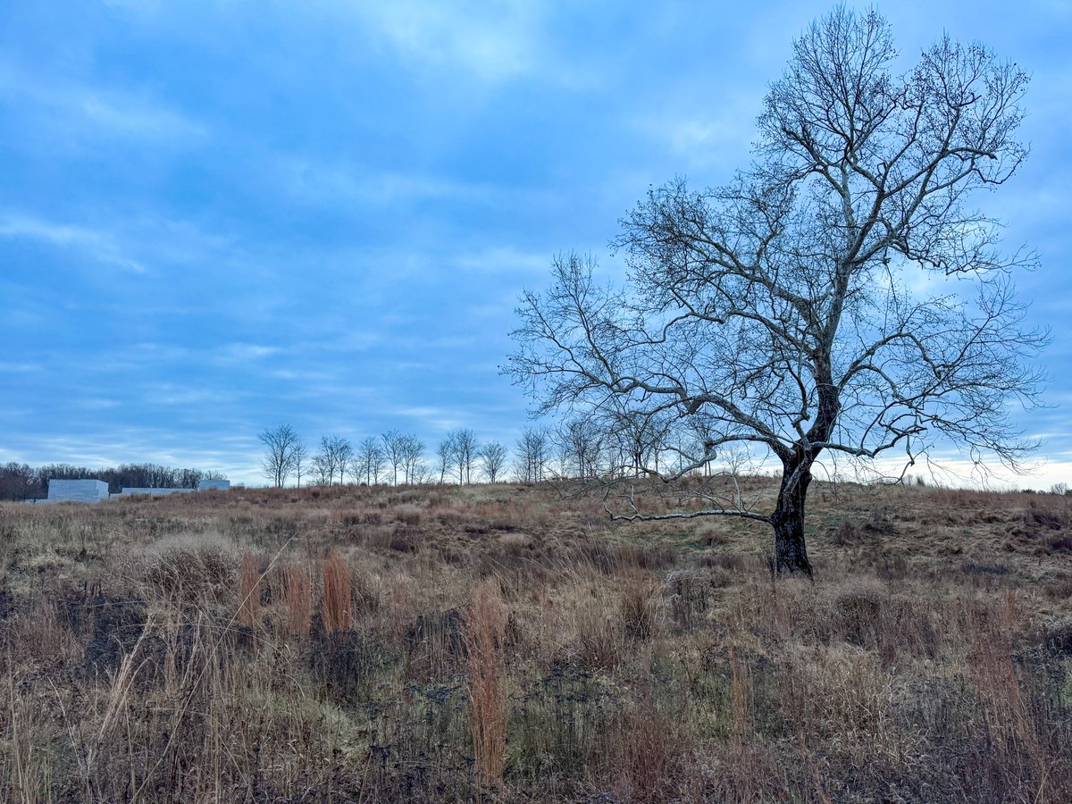 nenazhivina's tweet photo. Superb experience at @GlenstoneMuseum in #PotomacMD. The harmony of spaces reminds me that creativity has no boundaries—it thrives wherever it is placed. https://t.co/lmz98Lexzy