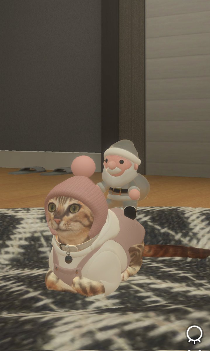 sysmtp's tweet photo. ピンク色も似合うね〜
この帽子がややシュールで気に入ってる！
#withMyCAT https://t.co/RQnwV2kGov