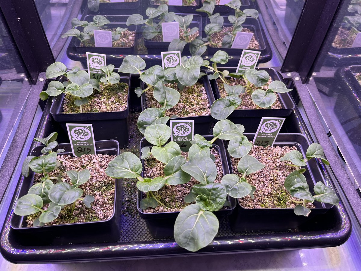 Science in Chicago tweet media