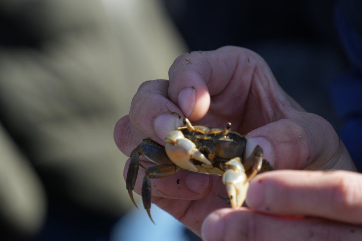ParadiseProject's tweet image. #写真好きな人と繋がりたい #写真撮っている人と繋がりたい #カメラ好きな人と繋がりたい #fujifilm_xseries #fujifilm #photography

カメラで撮影したものを出すように新しくアカウント作りました！
あなたの世界に彩を📸📸