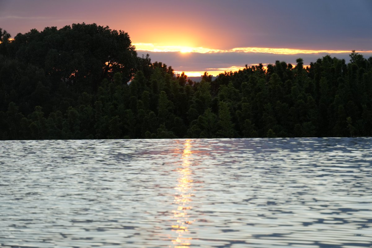 ParadiseProject's tweet image. #写真好きな人と繋がりたい #写真撮っている人と繋がりたい #カメラ好きな人と繋がりたい #fujifilm_xseries #fujifilm #photography

カメラで撮影したものを出すように新しくアカウント作りました！
あなたの世界に彩を📸📸