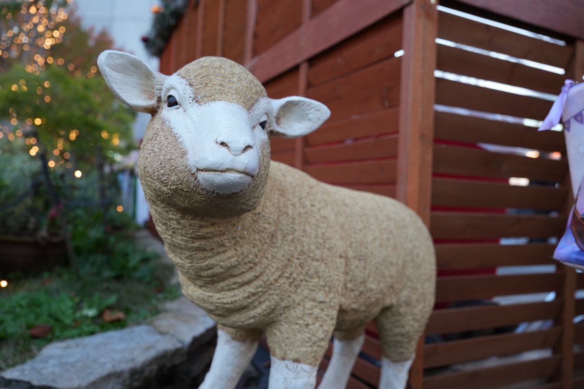 ParadiseProject's tweet image. #写真好きな人と繋がりたい #写真撮っている人と繋がりたい #カメラ好きな人と繋がりたい #fujifilm_xseries #fujifilm #photography

カメラで撮影したものを出すように新しくアカウント作りました！
あなたの世界に彩を📸📸