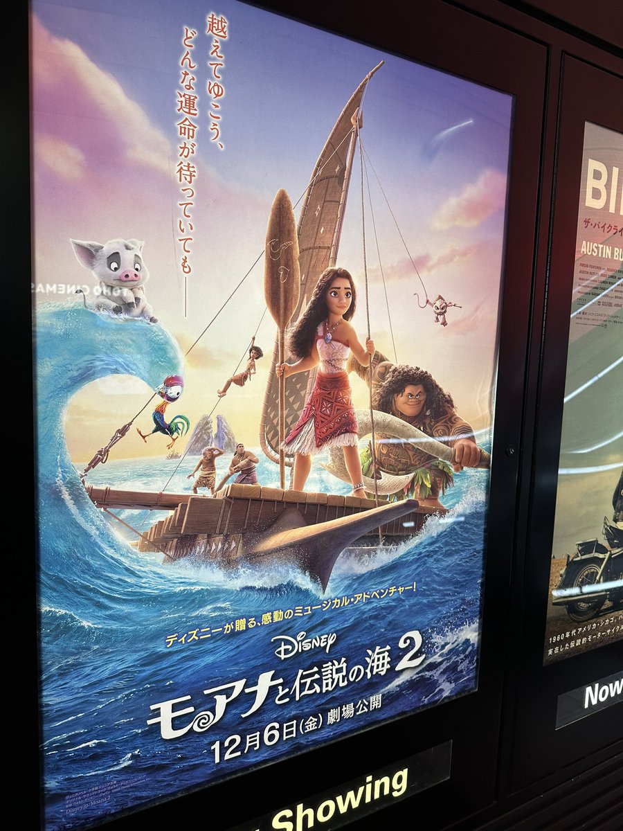 ゆこ*🇯🇵→🇹🇼→🇨🇦 tweet media