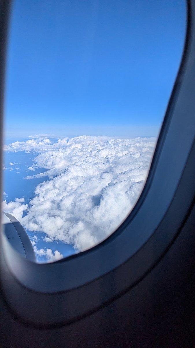 ふわふわ😆

また東京に戻ってきました！😅