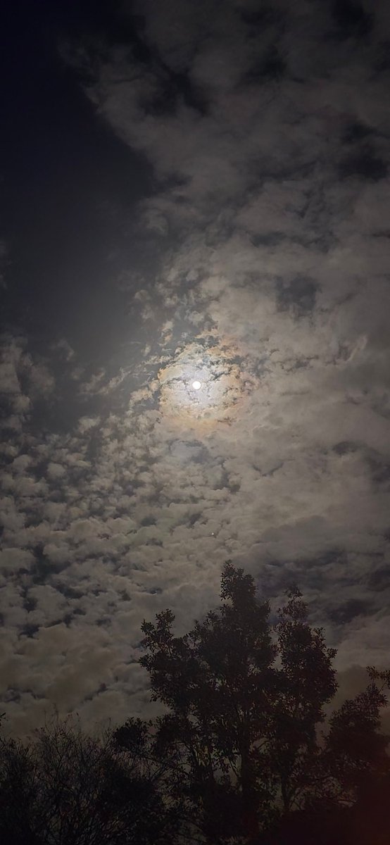 pevxi_'s tweet photo. Crazy when we look up our gazes meet https://t.co/ZaY6d0PpJ6