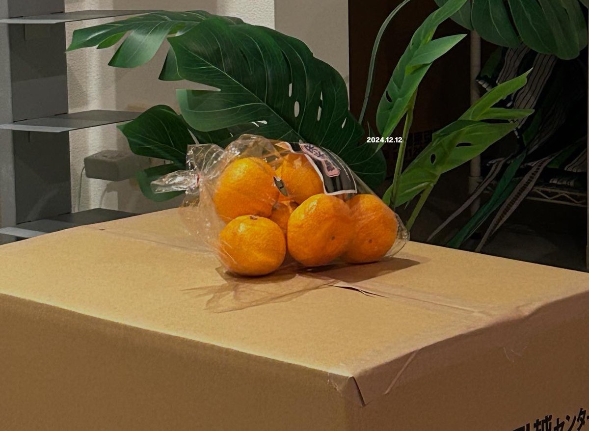 popo96069's tweet photo. 引っ越しって大変だけどワクワクする🍂 https://t.co/e4kyDqOMQt