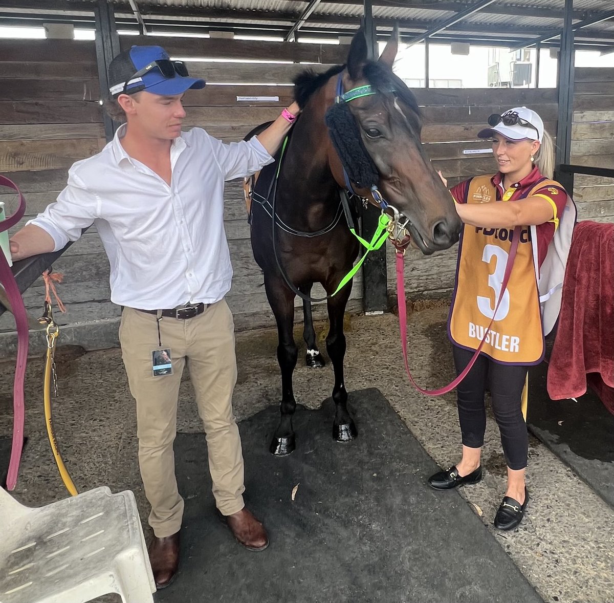dklracing's tweet image. 12 Months ago Bustler ran in the Gold Rush and ran 4th today he returns and looking for an improved run following his 4th in the Northerly.  #pinnacles 🟩🟦 #winnersaregrinners