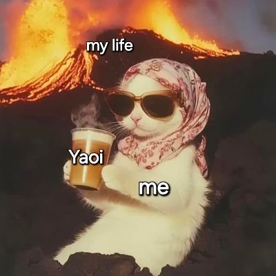 yanti8ve's tweet photo. It's just me and my yaoi against the world https://t.co/RpUbOjJWqS