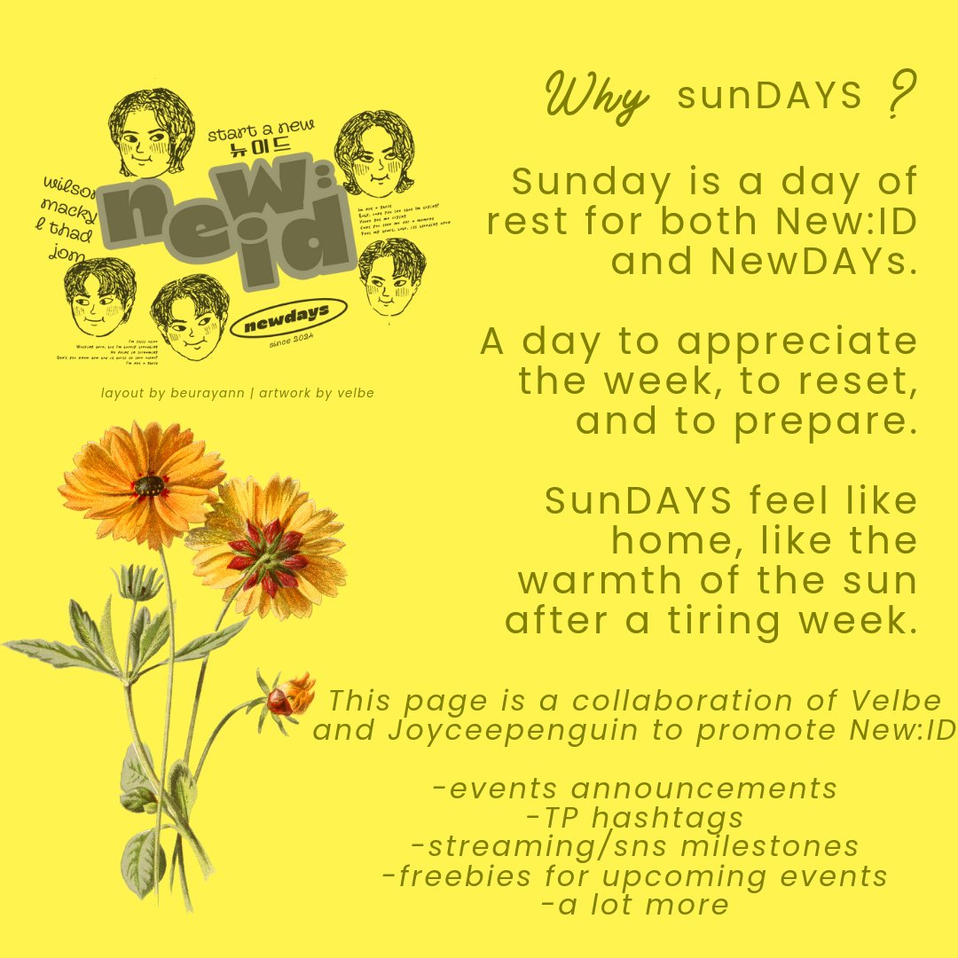 SunDAYS of New:ID tweet media