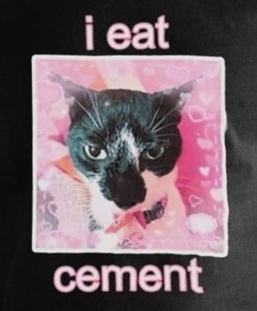 Memes to Show Your Cat (@showyourcat) on Twitter photo 