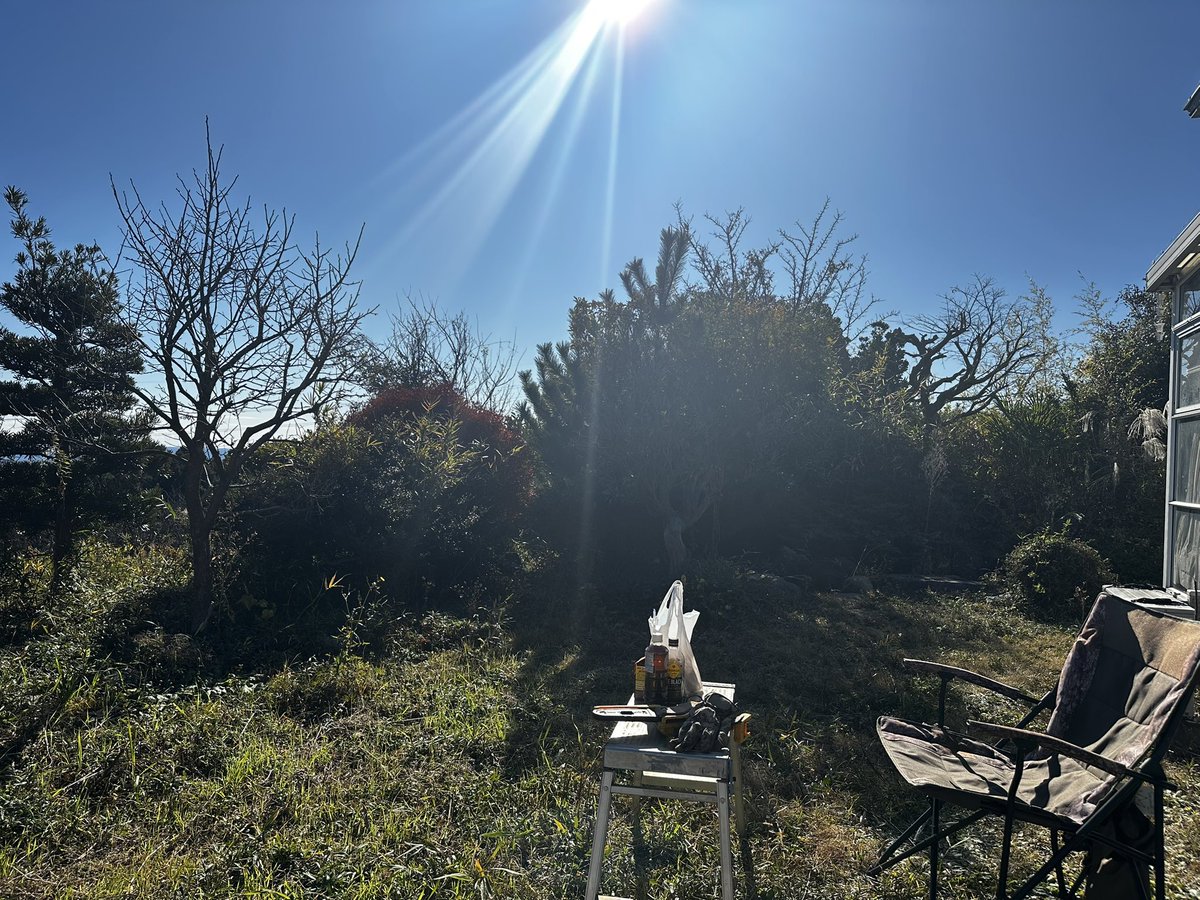 せいうち Respawn❗️ tweet media