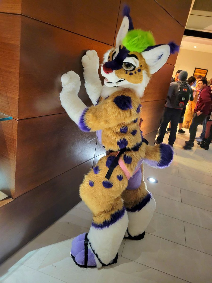 At MFF we delivered Espen the Linx! 💜💚