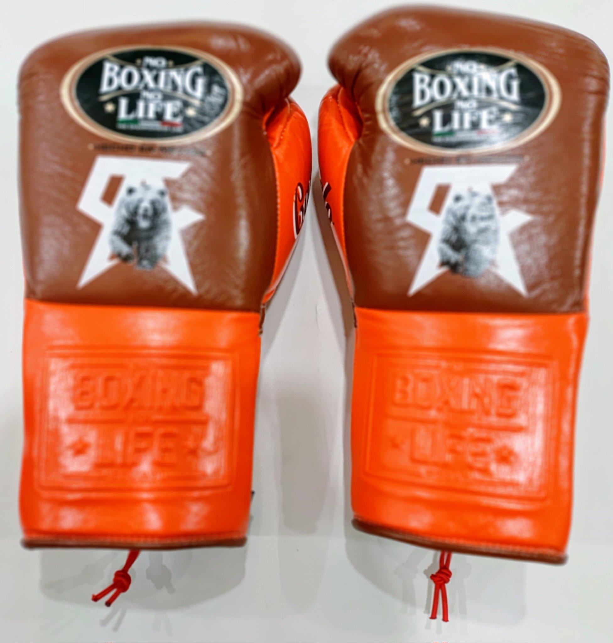 NO BOXING NO LIFE ボクシンググローブ　カネロ　ムンギア NO BOXING NO LIFE BOXING GLOVE Canelo Edition サウル