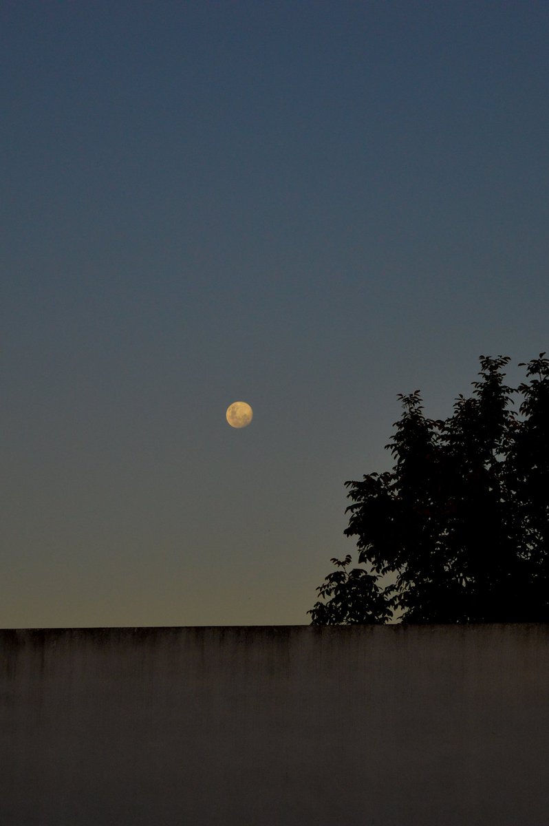 AguusB99's tweet photo. La luna 😍

Ph: AgusBra.Fotografia https://t.co/GRUEljqhSO