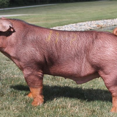 RSmith9000's tweet photo. #NewProfilePic https://t.co/DFkbQUieJ6