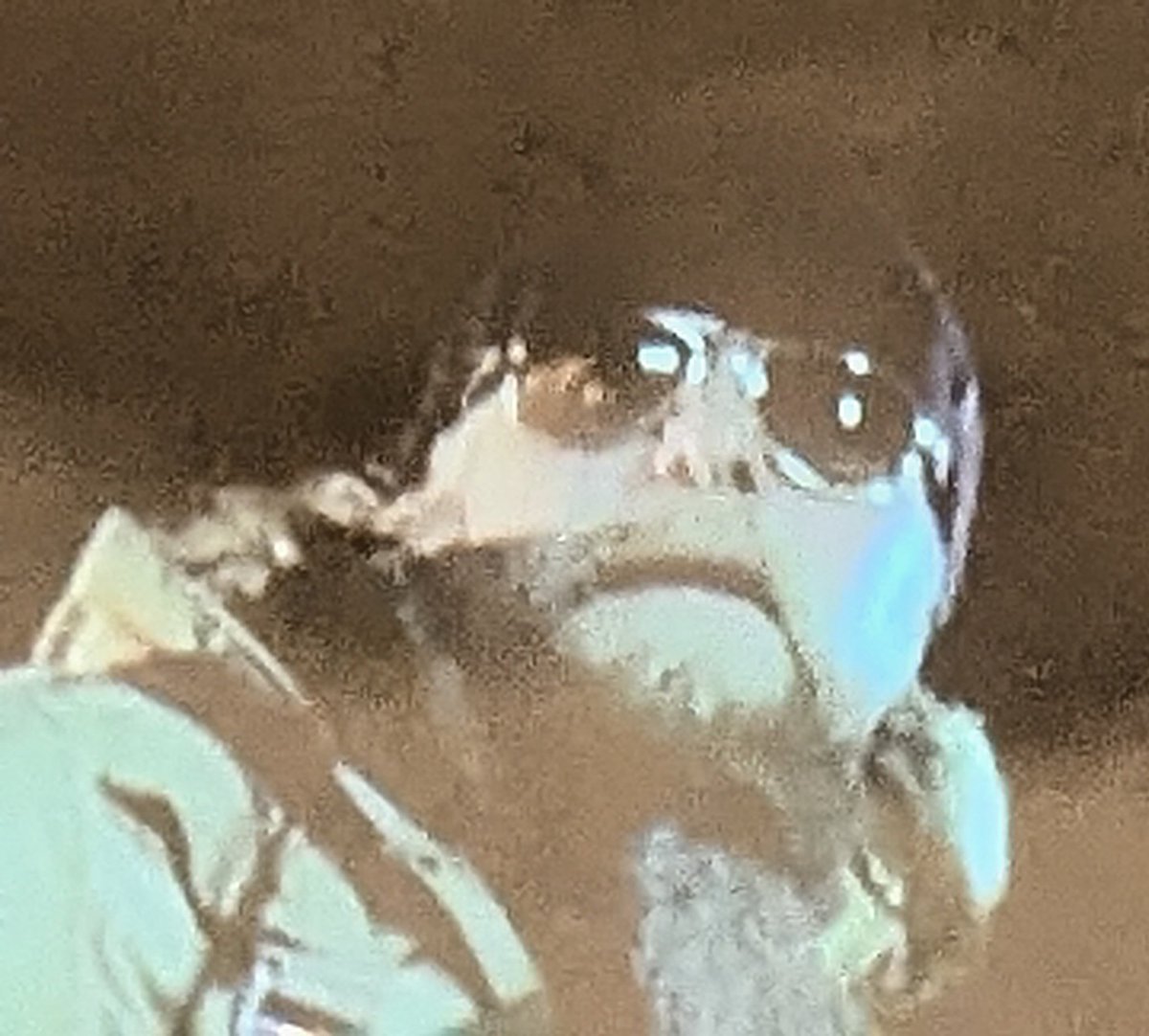 Allllright's tweet photo. Wouldn't want to get blinded by the moon.
#TheLastDriveIn https://t.co/d0f7Rut4zu