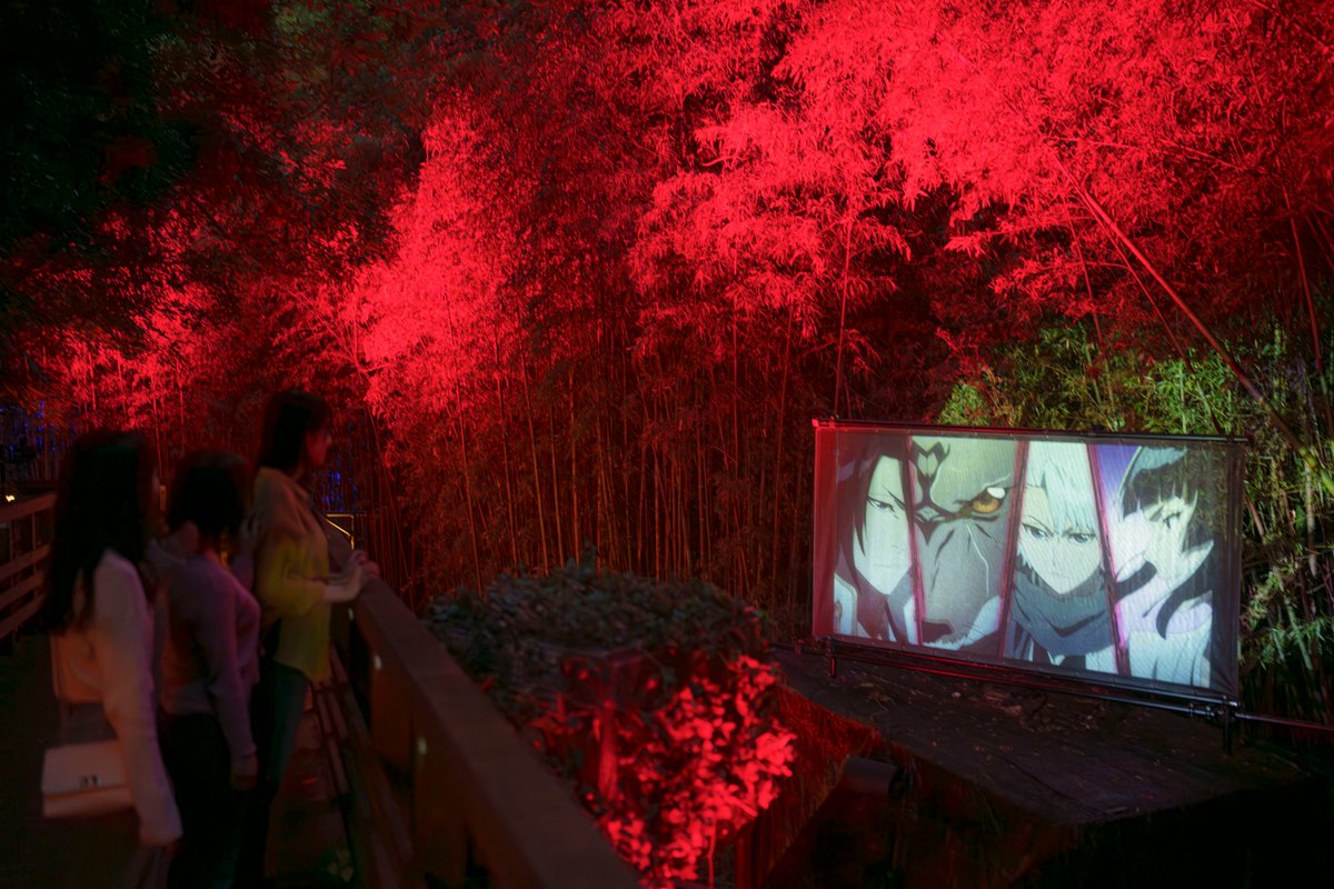 日番谷　キング 日番谷冬獅郎 キング bleach カード - メルカリ