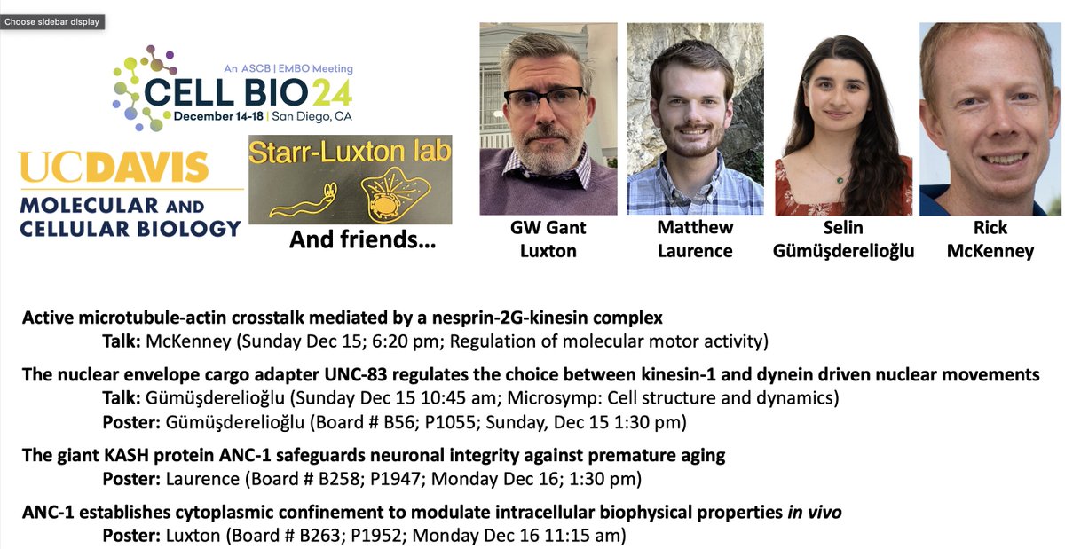 Join the Starr-Luxton lab &amp; friends at #ASCB2024! Bringing exciting new research on nuclear envelope dynamics and cytoskeletal crosstalk.
2 Talks + 3 Posters, Dec 15-16 in San Diego
Topics: KASH proteins, motor proteins, nuclear movement &amp; cellular biophysics!