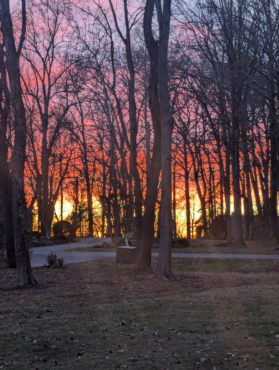 Thomas W Robey Jr tweet media