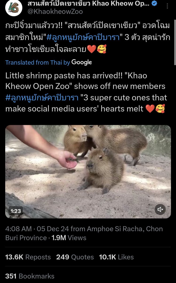 TBG_JUST_G's tweet photo. @and_khamoo Where is $Shrimp Moodeng's Best Friend? 😊 

@Shrimp_OnSol 
FxkZvPmSzwt1xBFGk8LPFKVTZJnPucKe6PZf5gg9pump https://t.co/q6ZWazBrP5
