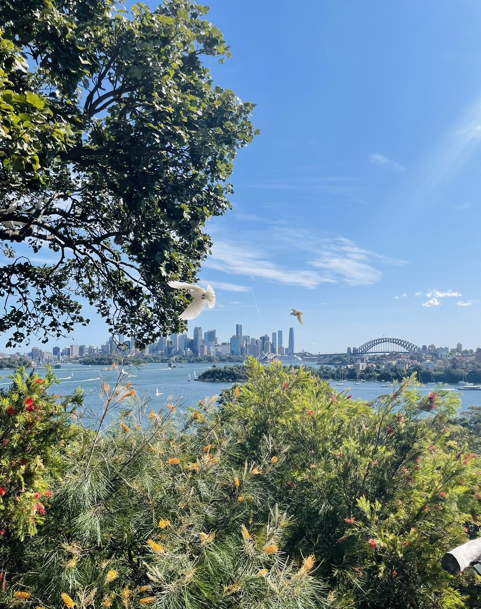 papajoolia's tweet image. Accidentally took the most beautiful photo at the zoo