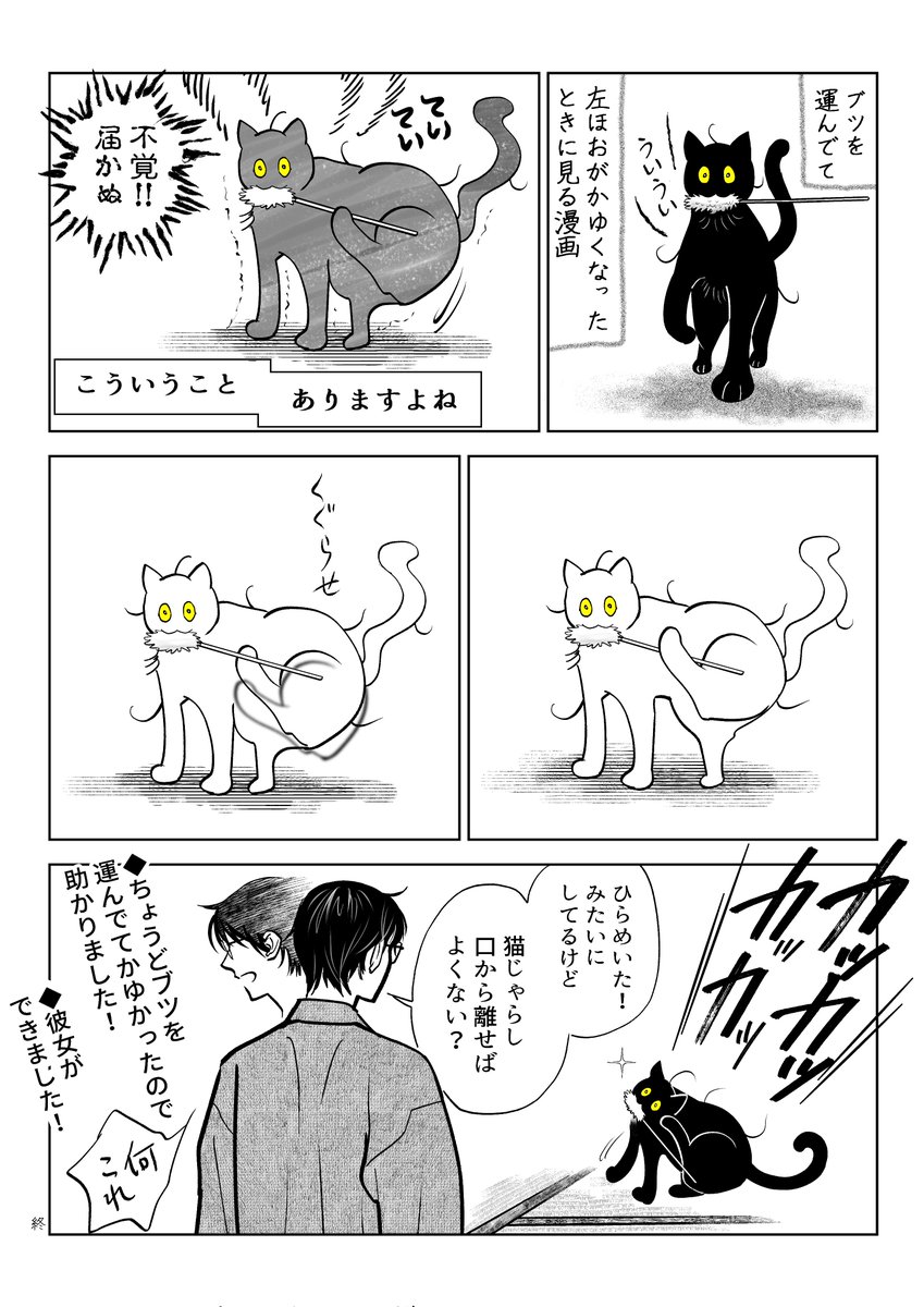 うちの猫は様子がおかしい。まとめ③
(5/11) 