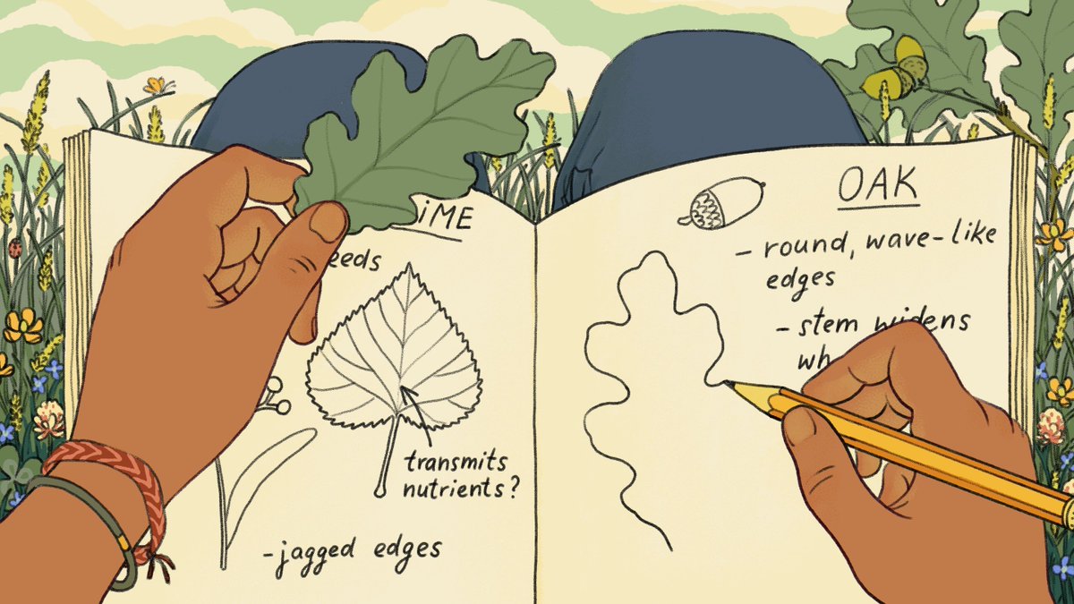 Nature journaling, the research suggests, can deliver excellent benefits across grade levels. 

Not only can it teach critical thinking skills, but it improves focus and connects students to the outdoors. 🌳

🧵1/11