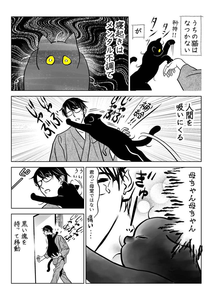 うちの猫は様子がおかしい。まとめ③
(3/11) 
