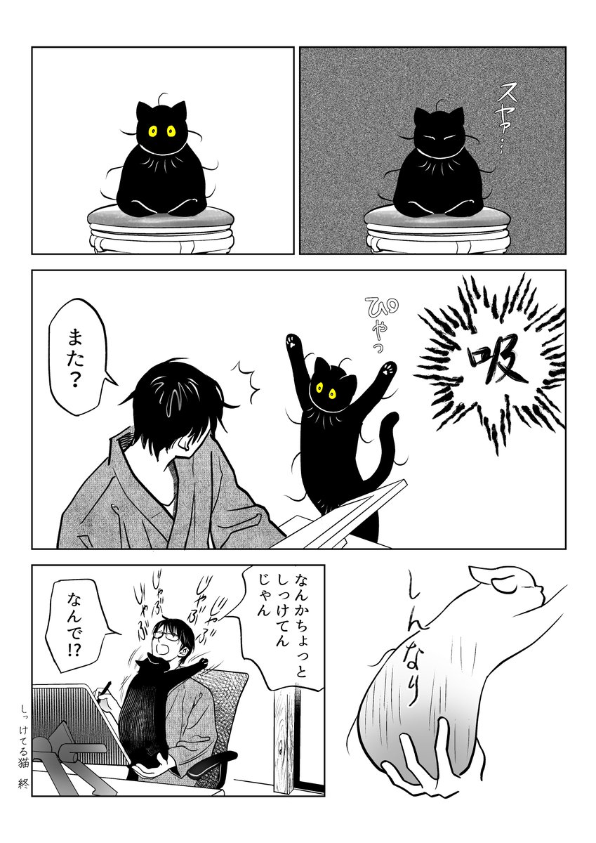 うちの猫は様子がおかしい。まとめ③
(4/11) 