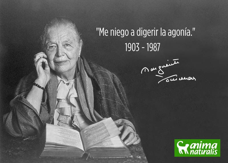 “Comer carne es digerir animales que fueron maltratados hasta el último momento de sus vidas, hasta agonizar en su propia sangre. Me niego a digerir la agonía.” — Marguerite Yourcenar (1903-1987) 🌱Ⓥ