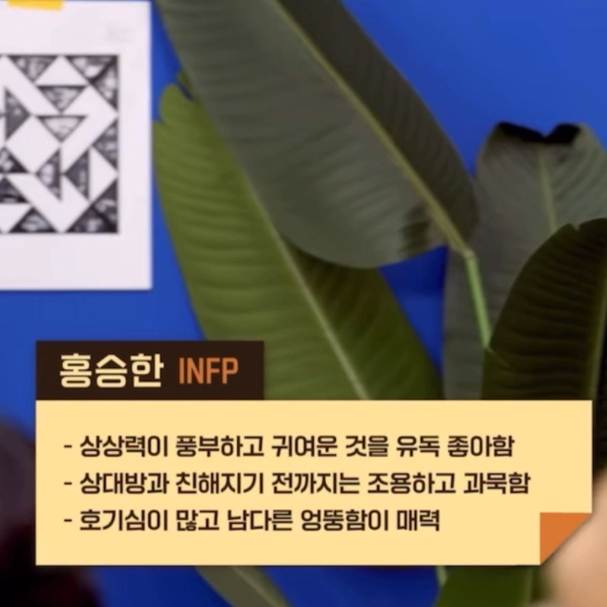 hsh_bbm's tweet image. 귀여운것을유독좋아함