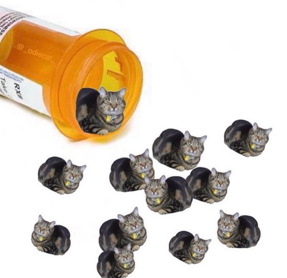 PunchingCat's tweet photo. antidepressants https://t.co/KiLFFXmOYD