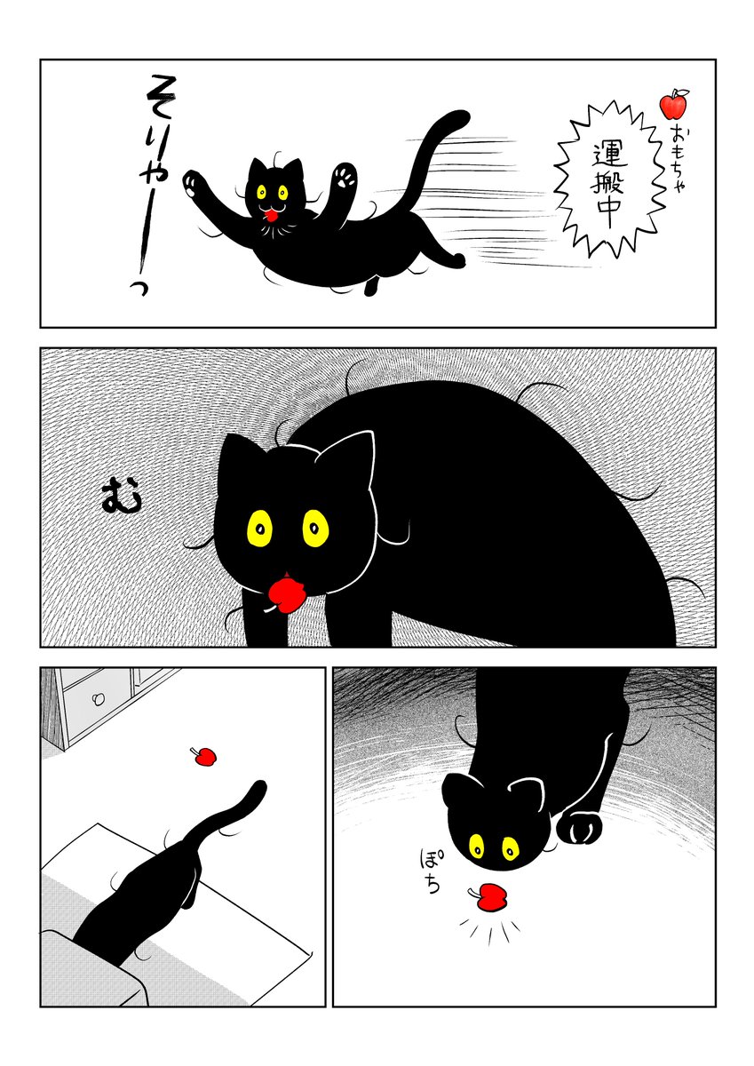 うちの猫は様子がおかしい。まとめ③
(6/11) 