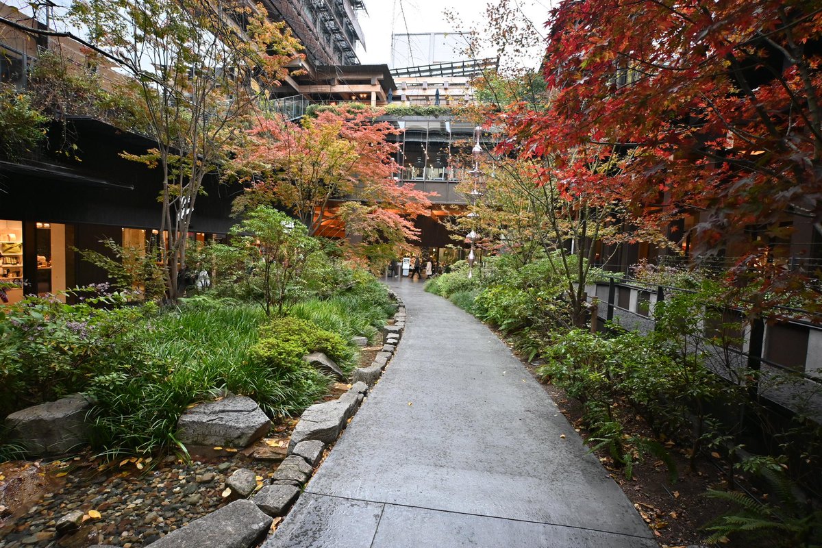 IaMtomok's tweet photo. 新風館(京都府)／NTTファシリティーズ、隈研吾建築都市設計事務所、プレイスメディ��� https://t.co/vg6SvHAdI5